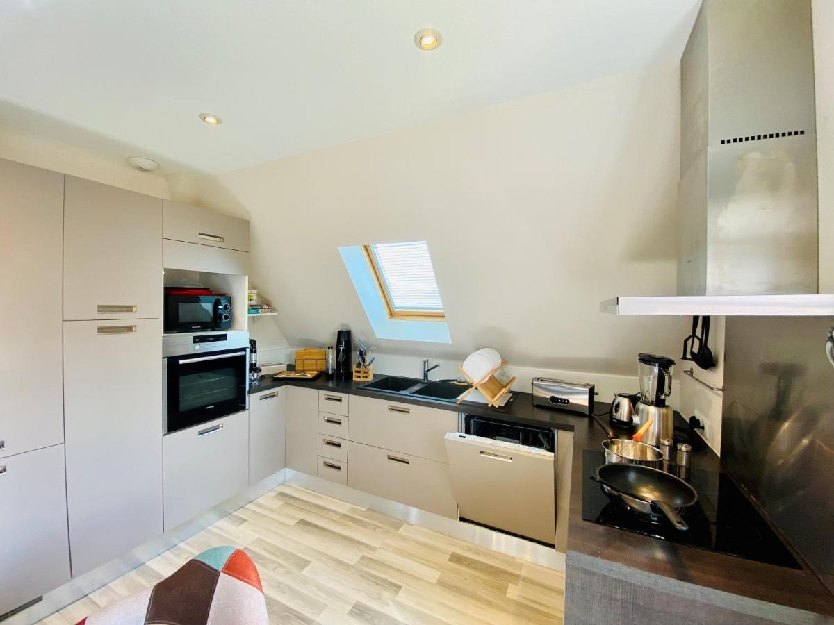 L'Envolee Alsacienne - Magnifique Appartement En Duplex Ostheim Exterior foto