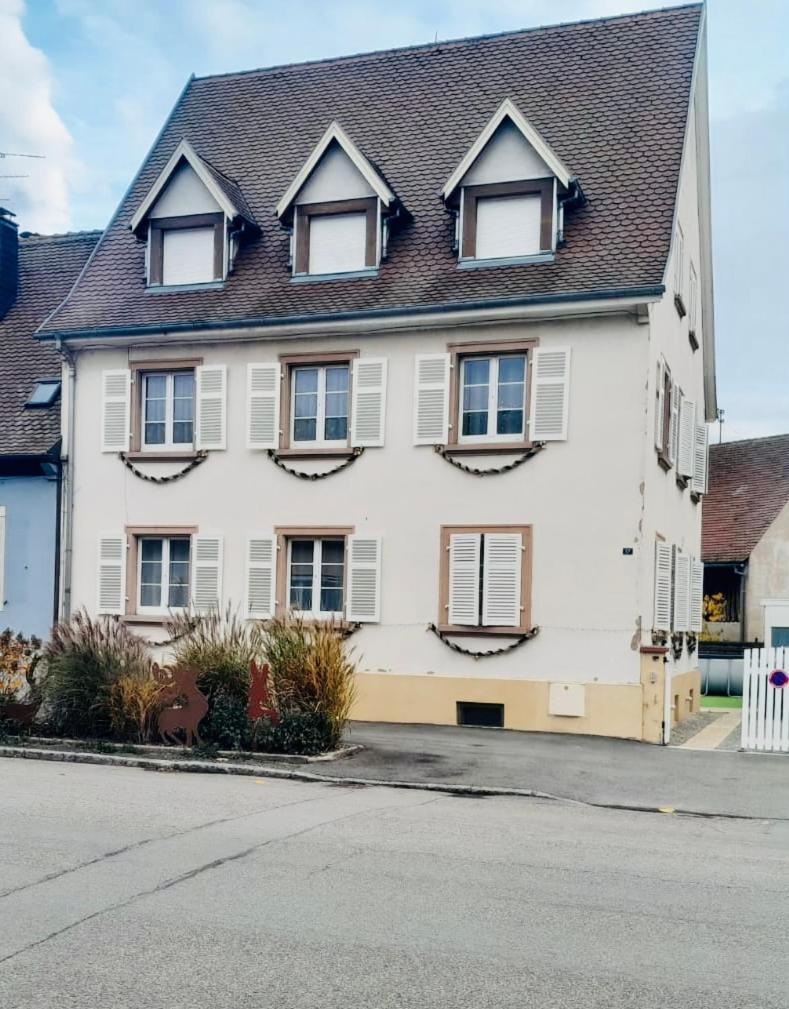 L'Envolee Alsacienne - Magnifique Appartement En Duplex Ostheim Exterior foto